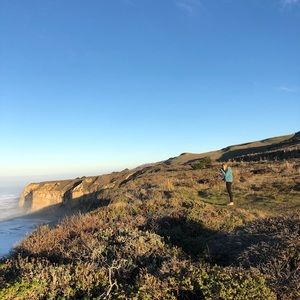 Meet your Posher, Alex